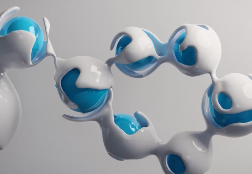 Video_metamorhosis 1-min